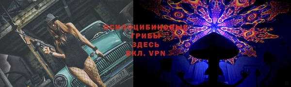 трава Володарск