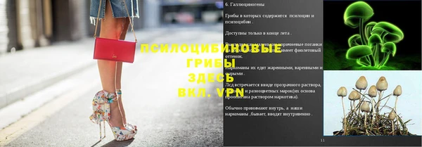 хмурый Волоколамск