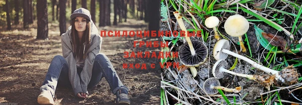 jwh Волосово