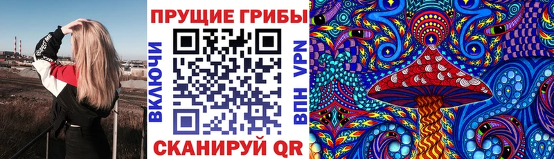 Галлюциногенные грибы GOLDEN TEACHER  наркота  Якутск 