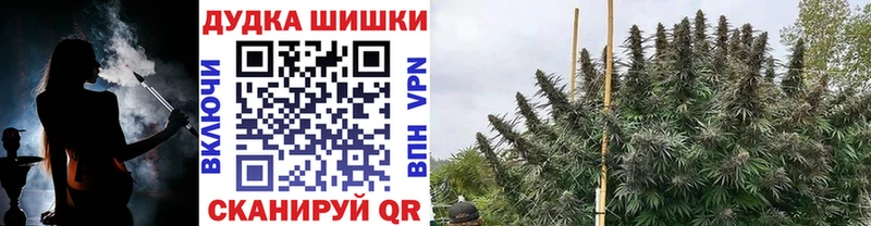 Бошки марихуана индика  наркотики  Якутск 